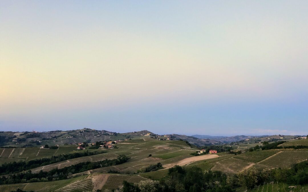 Enogastronomia nelle Langhe