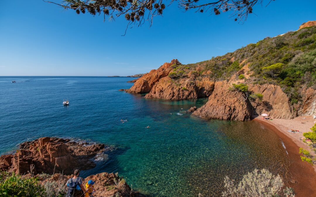 Enogastronomia in Costa Azzurra